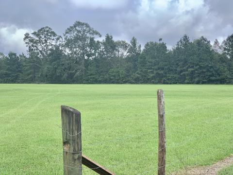 142 Hickory Hills Ln, Lucedale, MS 39452 photo 69
