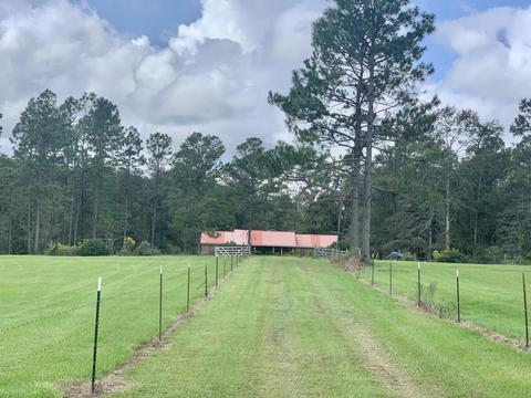 142 Hickory Hills Ln, Lucedale, MS 39452 photo 3