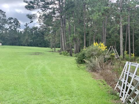 142 Hickory Hills Ln, Lucedale, MS 39452 photo 81