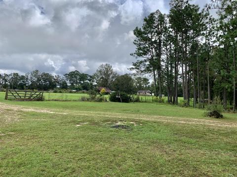 142 Hickory Hills Ln, Lucedale, MS 39452 photo 65
