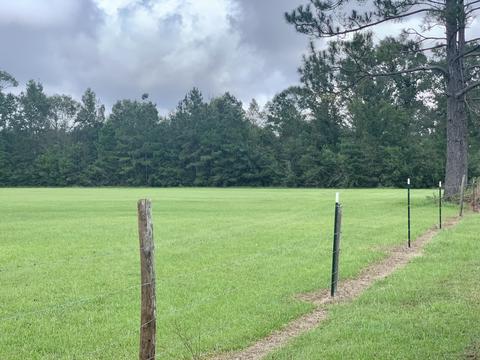142 Hickory Hills Ln, Lucedale, MS 39452 photo 70