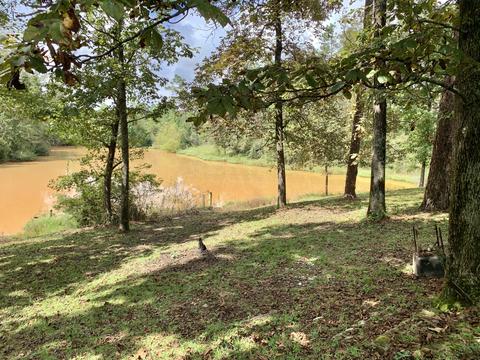 142 Hickory Hills Ln, Lucedale, MS 39452 photo 45