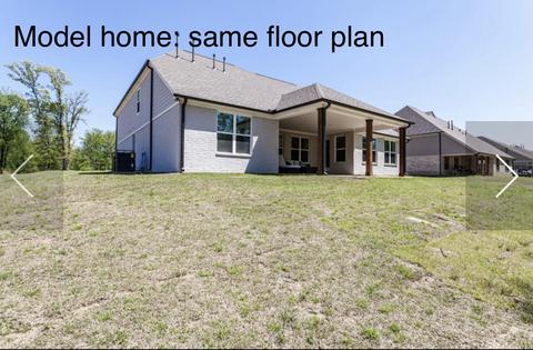 13762 River Grove Ln, Olive Branch, MS 38654 photo 8