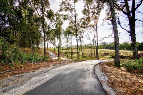 638 Holiday Cv, Hernando, MS 38632 photo 24