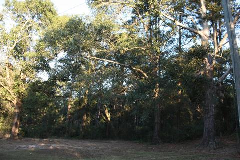 149 Finch Rd, Lucedale, MS 39452 photo 5