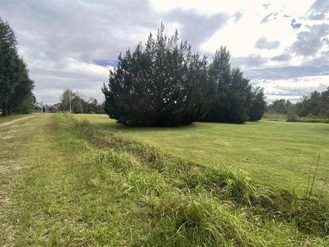 25384 Katie Dr, Picayune, MS 39466 photo 3