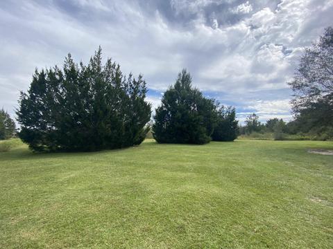 25384 Katie Dr, Picayune, MS 39466 photo 4