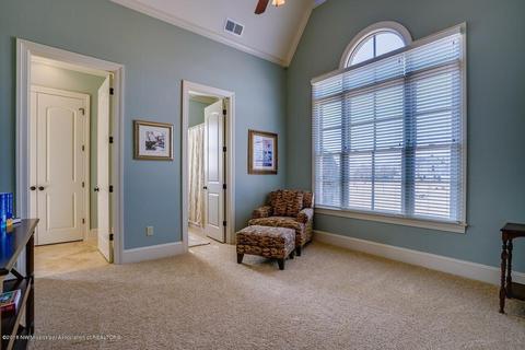 4703 E Spring Pl Cv, Olive Branch, MS 38654 photo 18