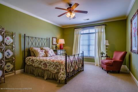 4703 E Spring Pl Cv, Olive Branch, MS 38654 photo 21