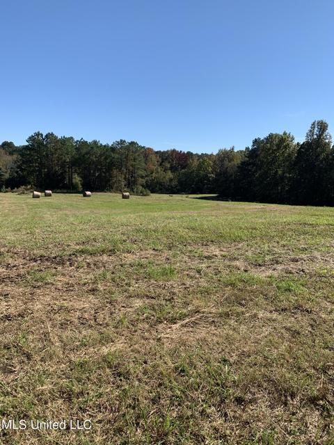 680 Crown Rd, Coldwater, MS 38618 photo 9