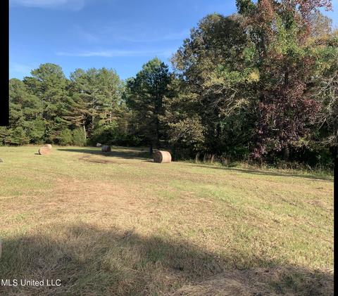680 Crown Rd, Coldwater, MS 38618 photo 21