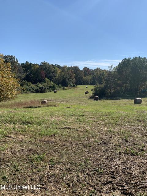 680 Crown Rd, Coldwater, MS 38618 photo 10