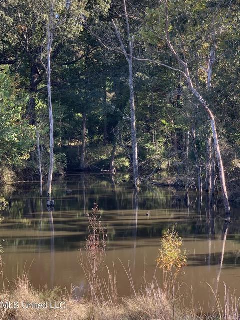680 Crown Rd, Coldwater, MS 38618 photo 6