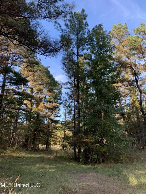 680 Crown Rd, Coldwater, MS 38618 photo 13