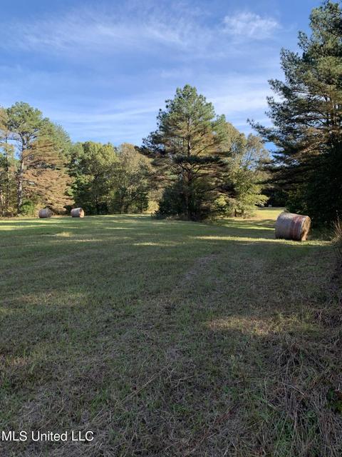 680 Crown Rd, Coldwater, MS 38618 photo 12