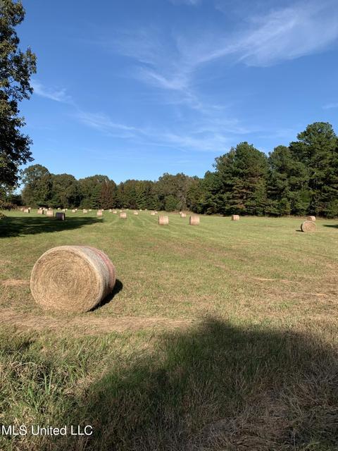 680 Crown Rd, Coldwater, MS 38618 photo 20