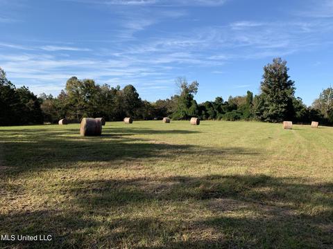 680 Crown Rd, Coldwater, MS 38618 photo 15