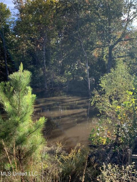 680 Crown Rd, Coldwater, MS 38618 photo 18