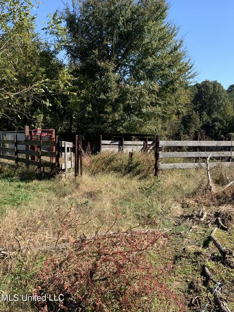680 Crown Rd, Coldwater, MS 38618 photo 25