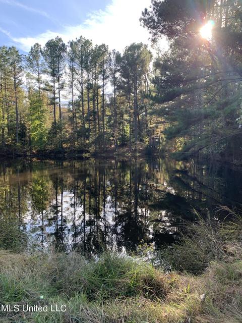 680 Crown Rd, Coldwater, MS 38618 photo 5