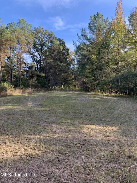 680 Crown Rd, Coldwater, MS 38618 photo 7