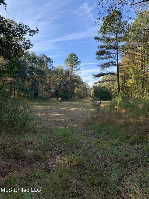 680 Crown Rd, Coldwater, MS 38618 photo 14