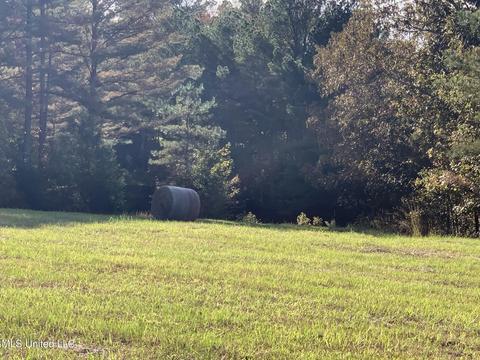 680 Crown Rd, Coldwater, MS 38618 photo 3