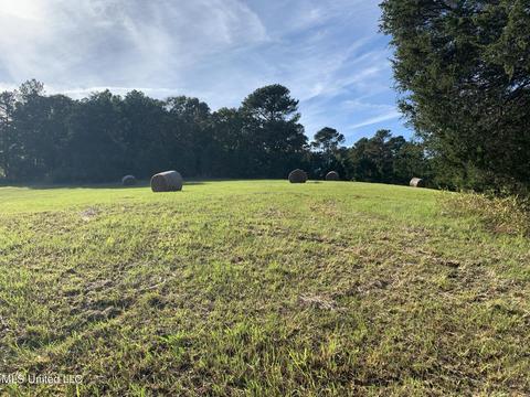 680 Crown Rd, Coldwater, MS 38618 photo 17
