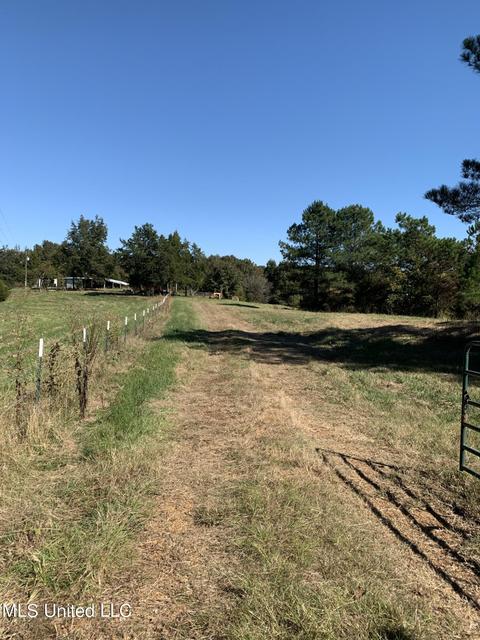 680 Crown Rd, Coldwater, MS 38618 photo 8