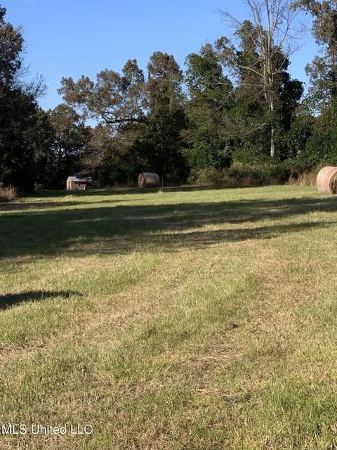 680 Crown Rd, Coldwater, MS 38618 photo 4