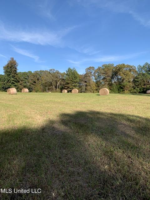 680 Crown Rd, Coldwater, MS 38618 photo 22