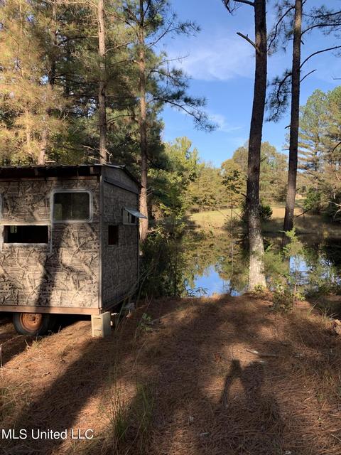 680 Crown Rd, Coldwater, MS 38618 photo 19