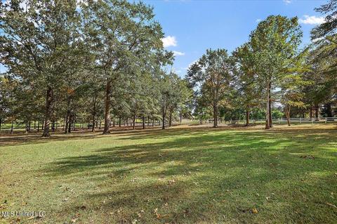 577 N Old Canton Rd, Madison, MS 39110 photo 7