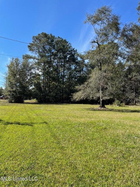 21785 Saucier Lizana Rd, Saucier, MS 39574 photo 2
