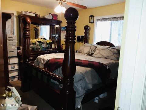 252 Mcdowell Park Cir, Jackson, MS 39204 photo 10