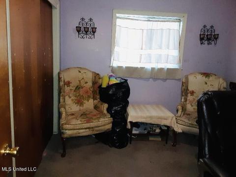 252 Mcdowell Park Cir, Jackson, MS 39204 photo 11