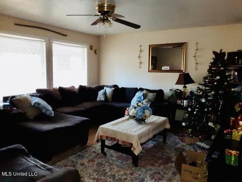 252 Mcdowell Park Cir, Jackson, MS 39204 photo 3
