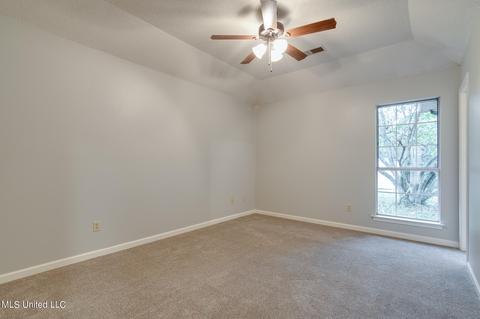 10142 Phillips Dr, Olive Branch, MS 38654 photo 9