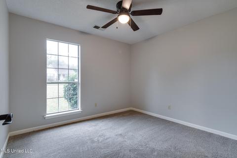 10142 Phillips Dr, Olive Branch, MS 38654 photo 14