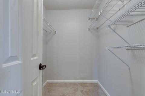 10142 Phillips Dr, Olive Branch, MS 38654 photo 13