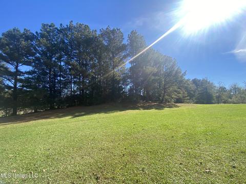 1219 Ms-25, Carthage, MS 39051 photo 4