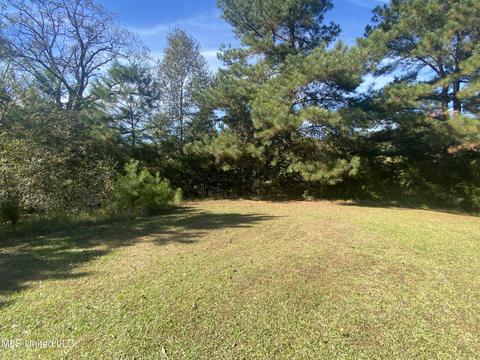 1219 Ms-25, Carthage, MS 39051 photo 5