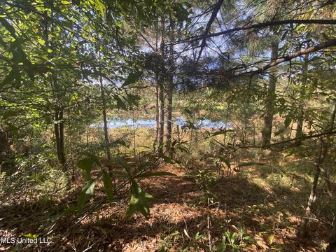 1219 Ms-25, Carthage, MS 39051 photo 6
