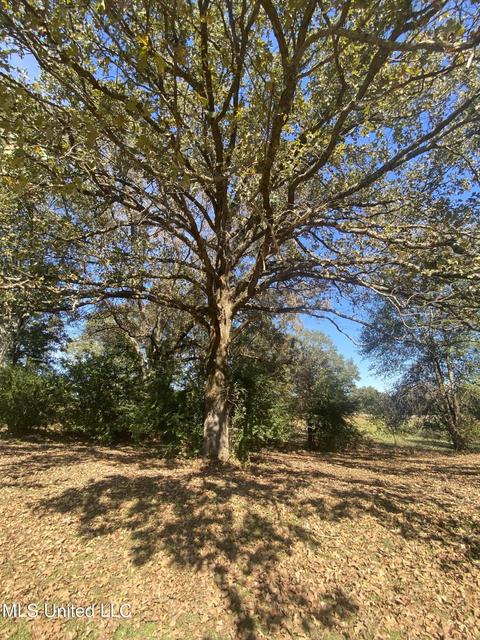 1219 Ms-25, Carthage, MS 39051 photo 3