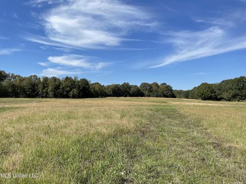 155 Hanks Trl, Flora, MS 39071 photo 4