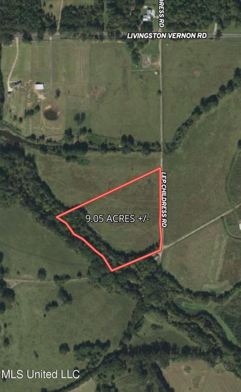 155 Hanks Trl, Flora, MS 39071 photo 13