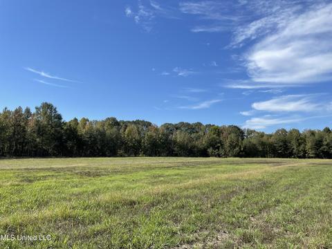 155 Hanks Trl, Flora, MS 39071 photo 1