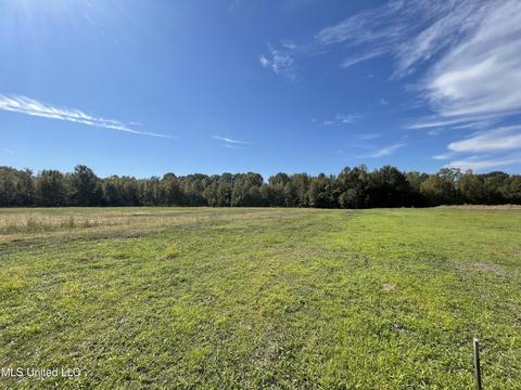 155 Hanks Trl, Flora, MS 39071 photo 9