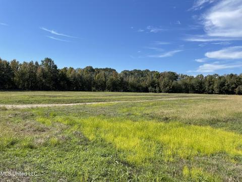 155 Hanks Trl, Flora, MS 39071 photo 2