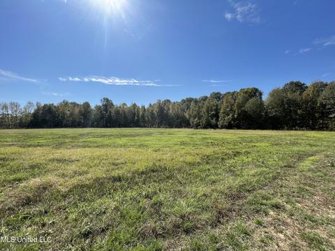 155 Hanks Trl, Flora, MS 39071 photo 10